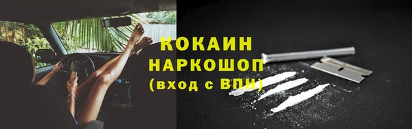 СК Аркадак