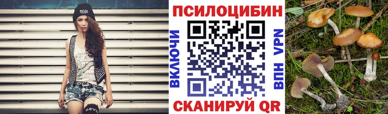 Псилоцибиновые грибы прущие грибы  Серафимович 