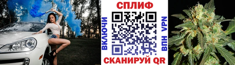 мориарти Telegram  Серафимович  Каннабис Amnesia  дарнет шоп  omg  